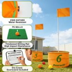 Bearwill Golf Bucket Game for Family, Adults and Kids Portable 6 Hole Golf Course with Balls and Flag, Outdoor Indoor Golf Yard Game for Park, Beach, Lawn, Camping